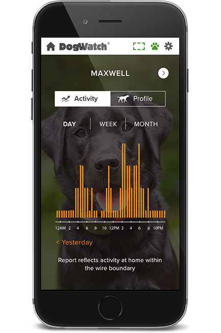dw-phone-activity-2-1x-3 DogWatch of Evansville, Evansville, Indiana | SmartFence WebApp Image