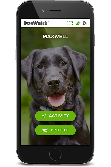 dw-phone-home-2-1x-2 DogWatch of Evansville, Evansville, Indiana | SmartFence WebApp Image