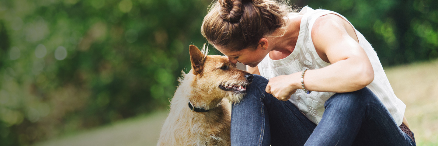 DogWatch of Evansville, Evansville, Indiana | BarkCollar No-Bark Trainer Slider Image